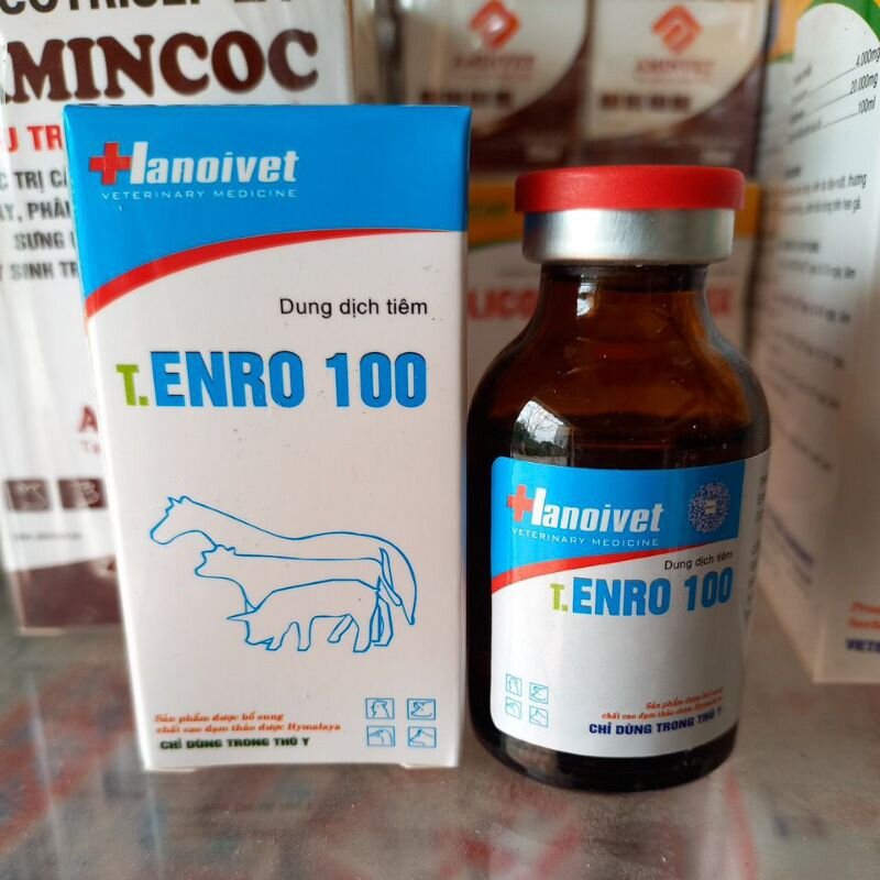Enro 10% lọ 20ml chướng bụng đầy hơi, táo bón, thương hàn