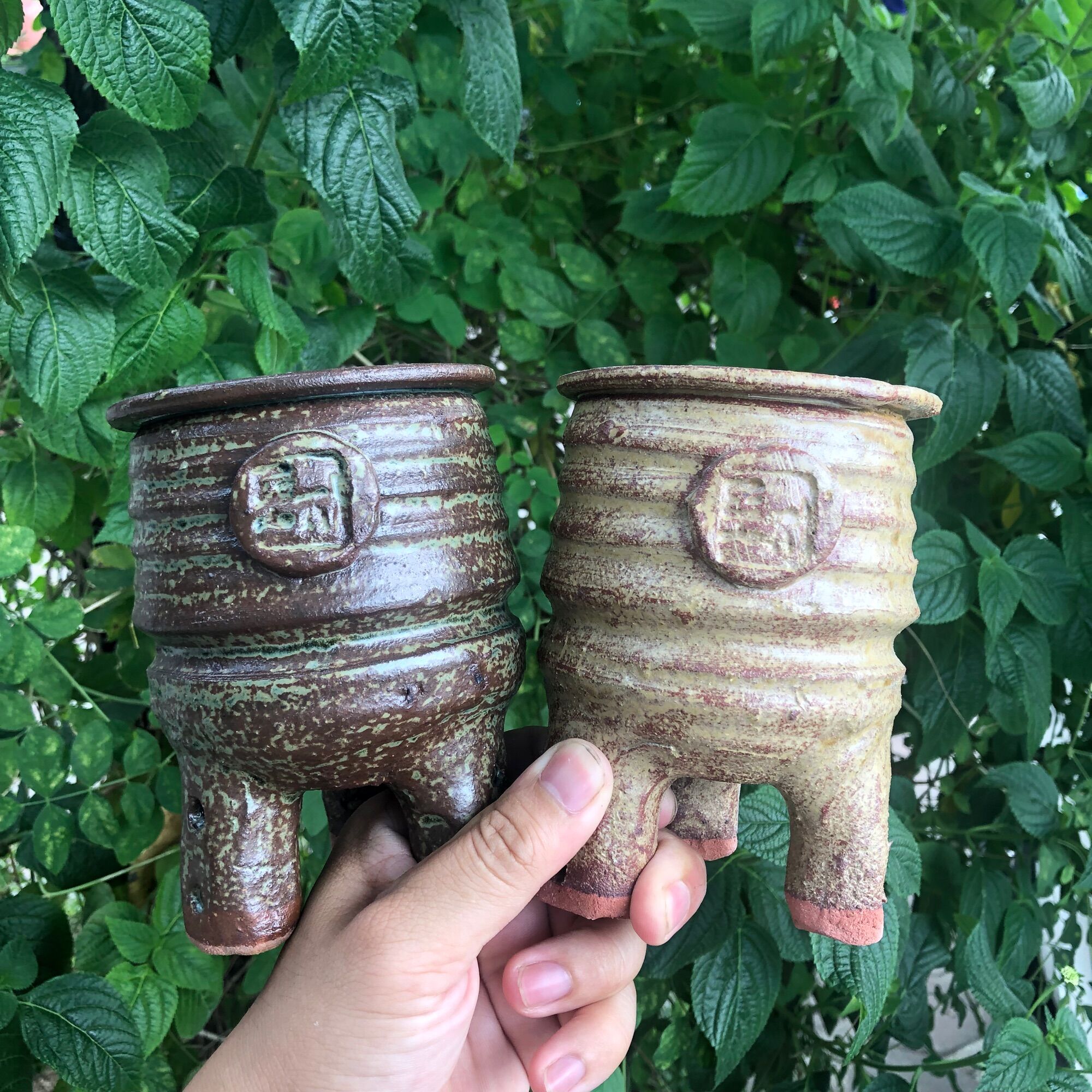 Chậu trồng sen đá xuất Hàn ( giao mẫu ngẫu nhiên )