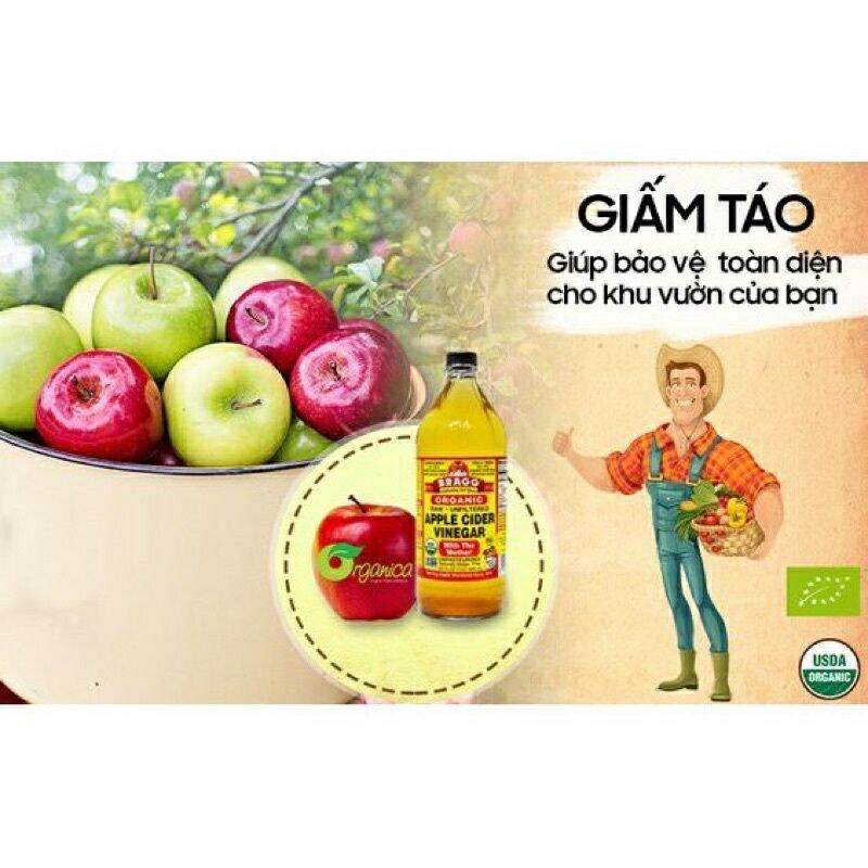 [Tặng quà] Giấm táo hữu cơ Bragg của Mỹ [Chính hãng]