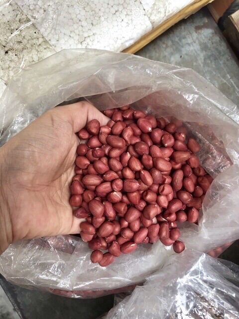 200gr Lạc đỏ Thái Bình