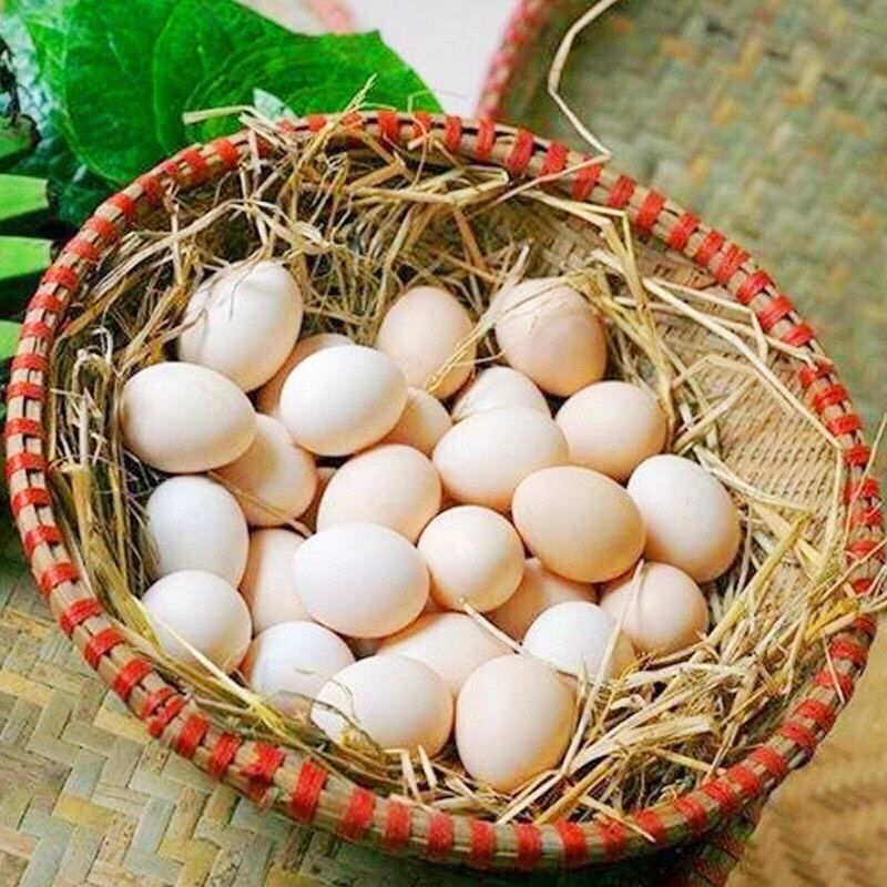 10 trứng gà thả Vườn