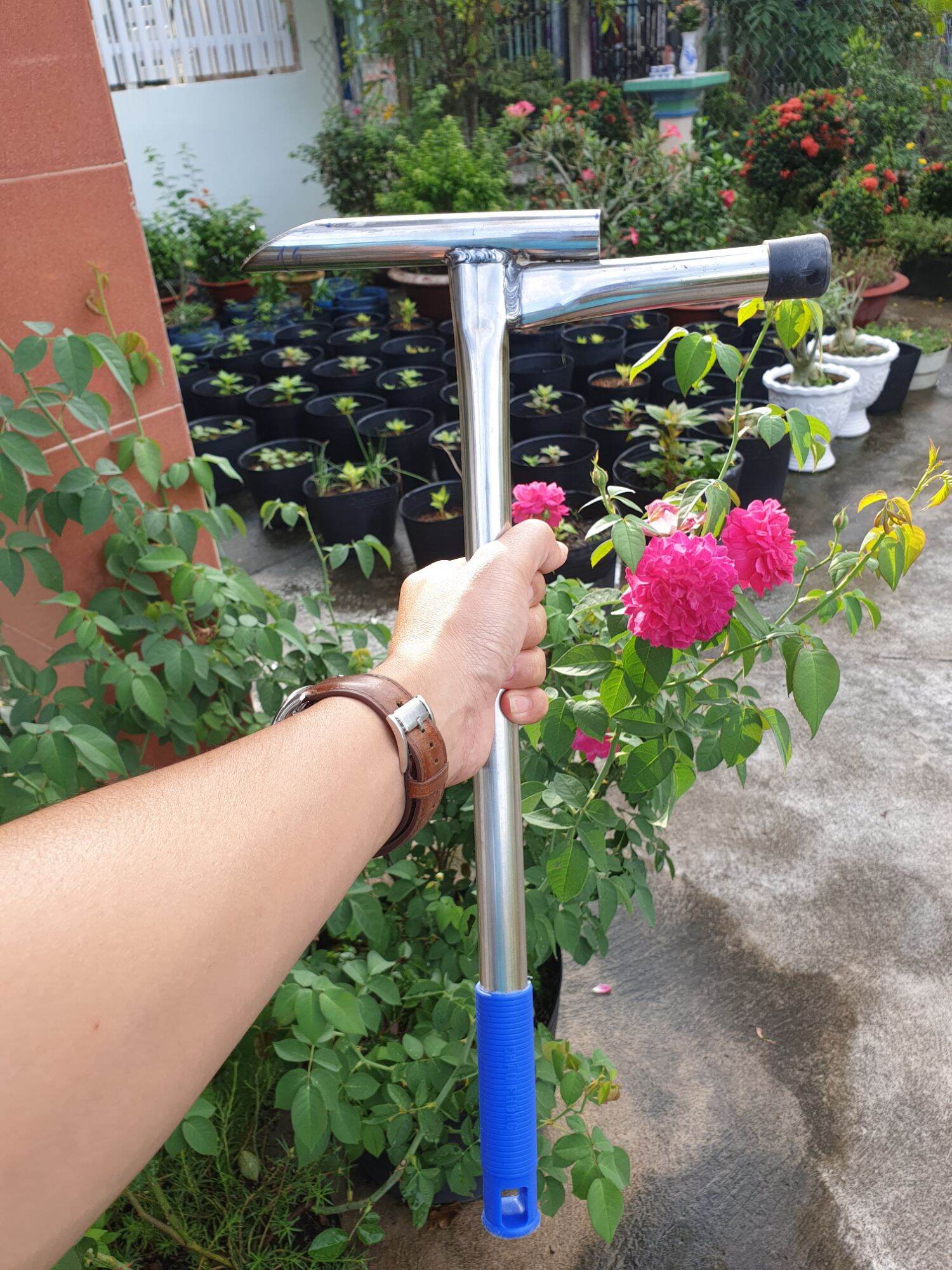 BÚA ĐỤC DỪA NHANH