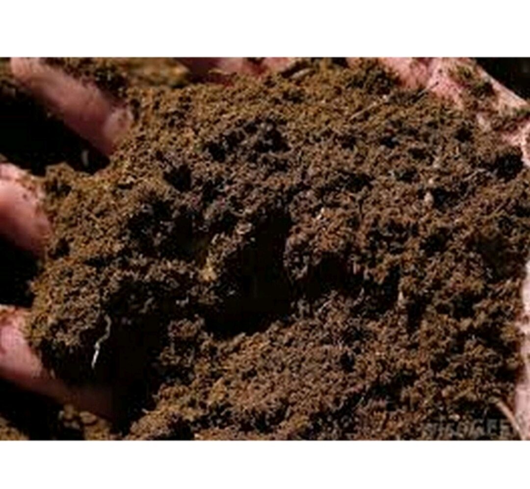 1 ký giá thể peatmoss, phân mùn hữu cơ