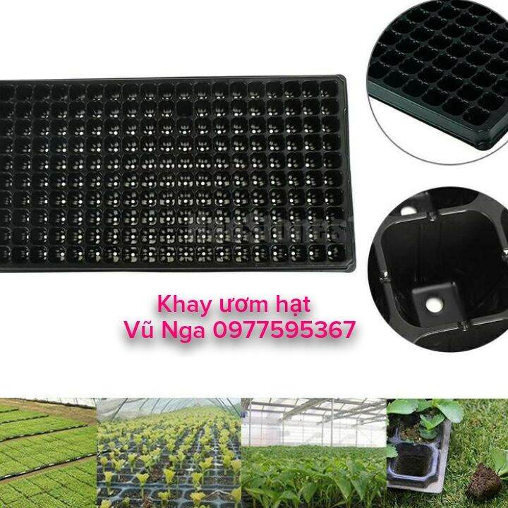 Khay ươm hạt 10 cái 32 lỗ