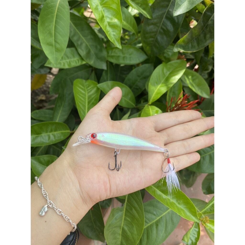 Mồi câu cá chẽm Cá Mú Cá Ngão