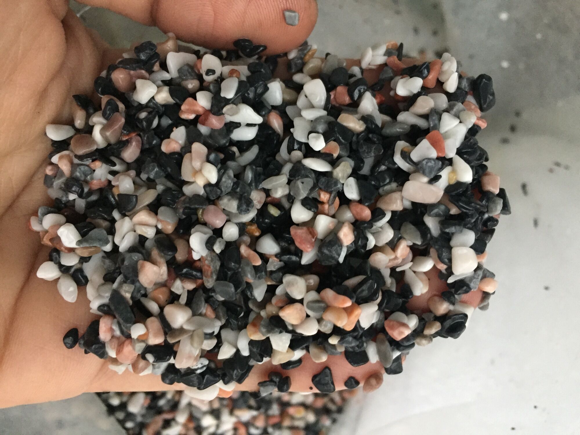 Sỏi đá suối rải mặt chậu cây cảnh 12k/kg