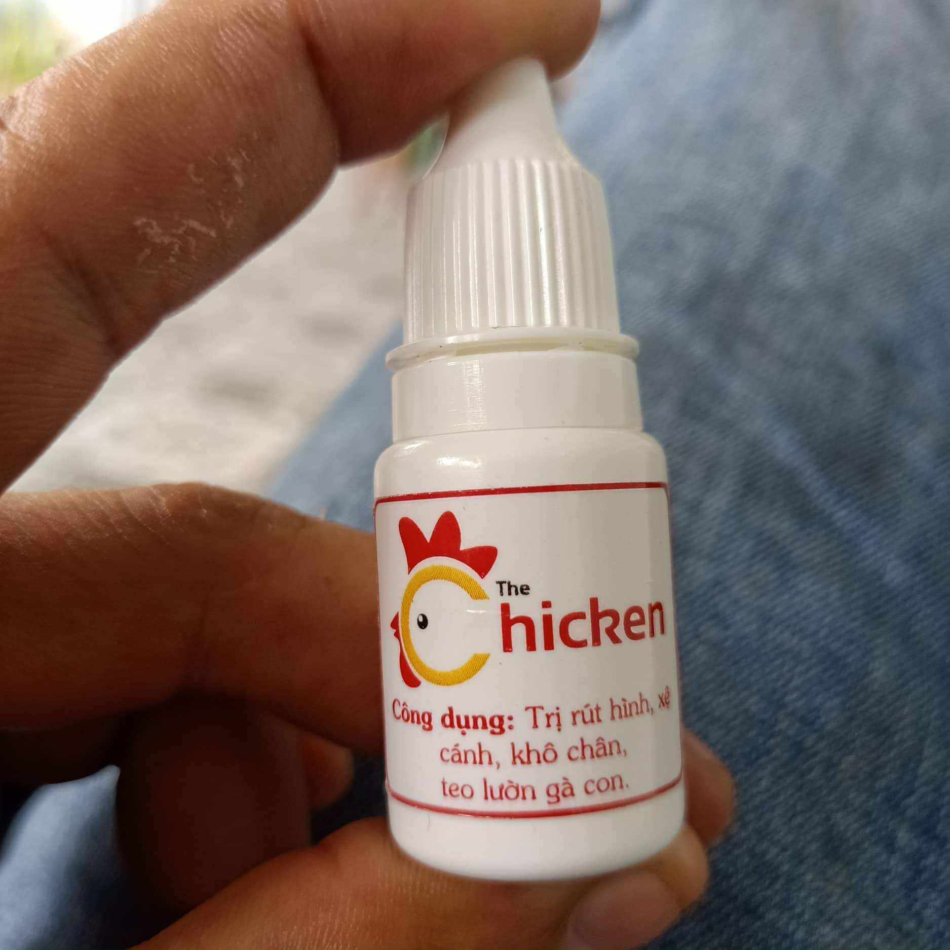 GÀ CON RÚT HÌNH, KHÔ CHÂN, TEO LƯỜN