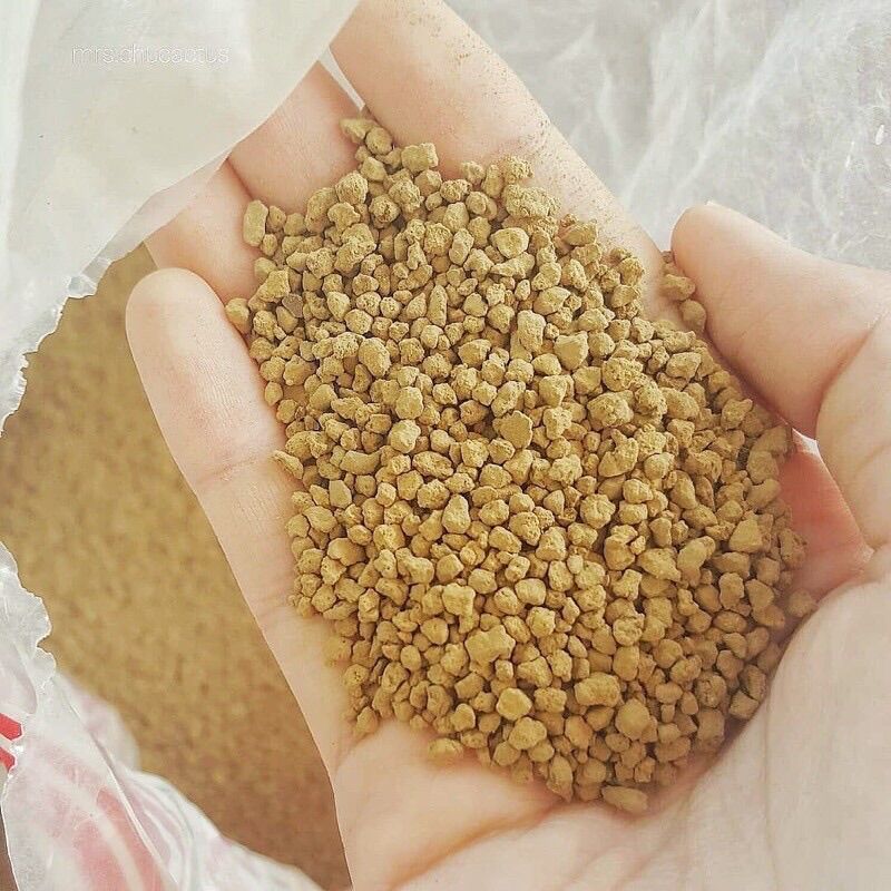 (HCM -1kg phân bón nền Akadama Nhật Bản - đất trồng sen đá, cây văn phòng, cây phong thuỷ-Sen đá Đông Phước