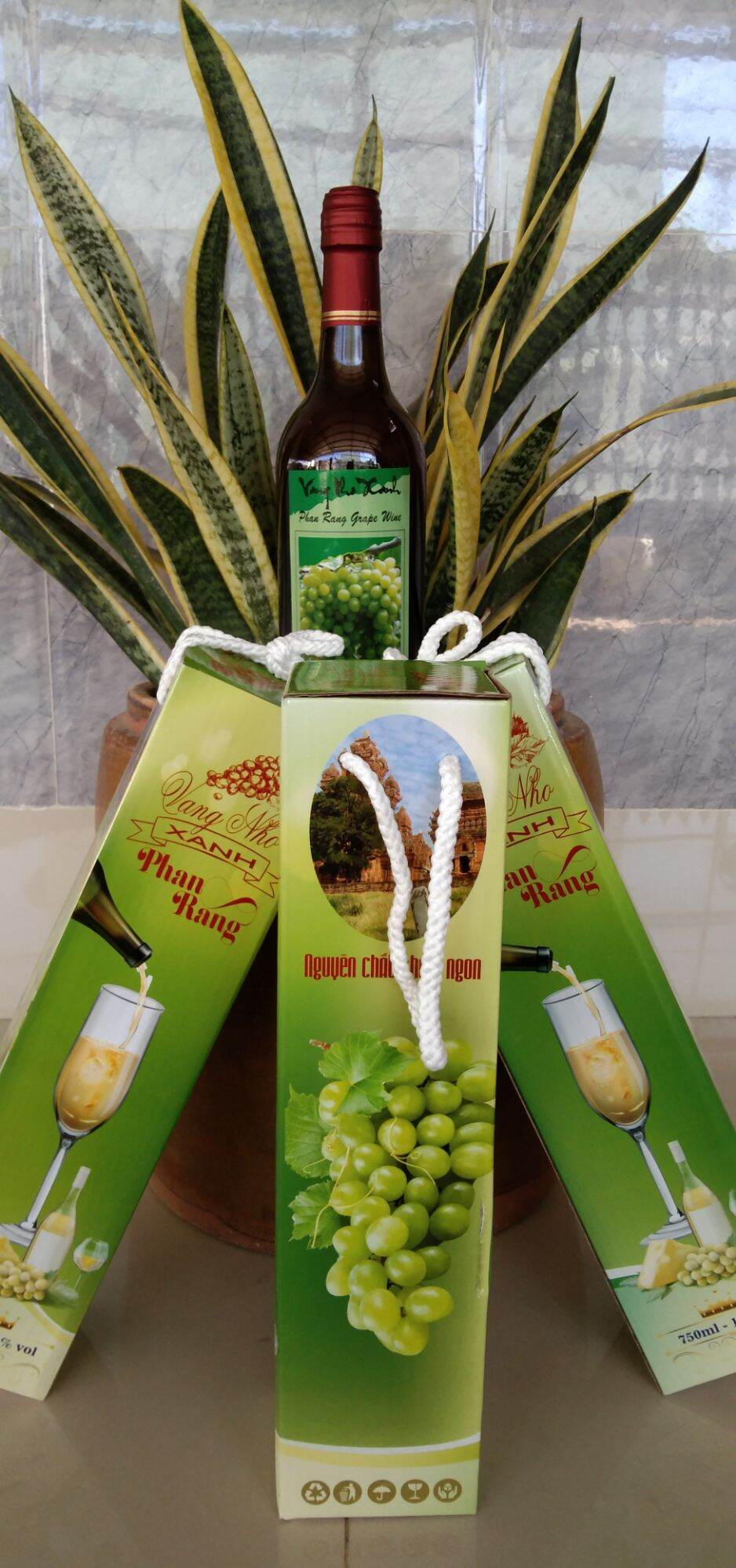 Vang Nho Xanh Phan Rang#Organix
