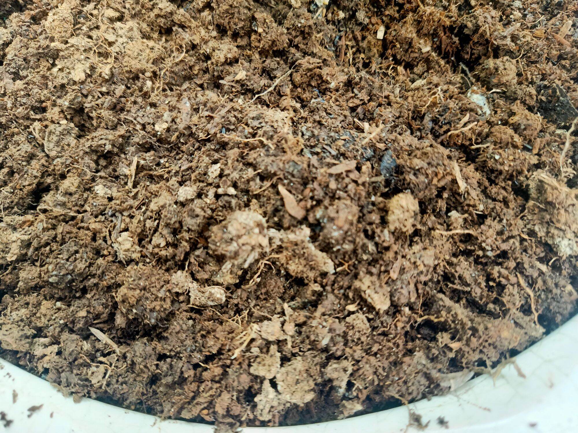 1kg Phân Gà Được Ủ Hoai Tự Nhiên