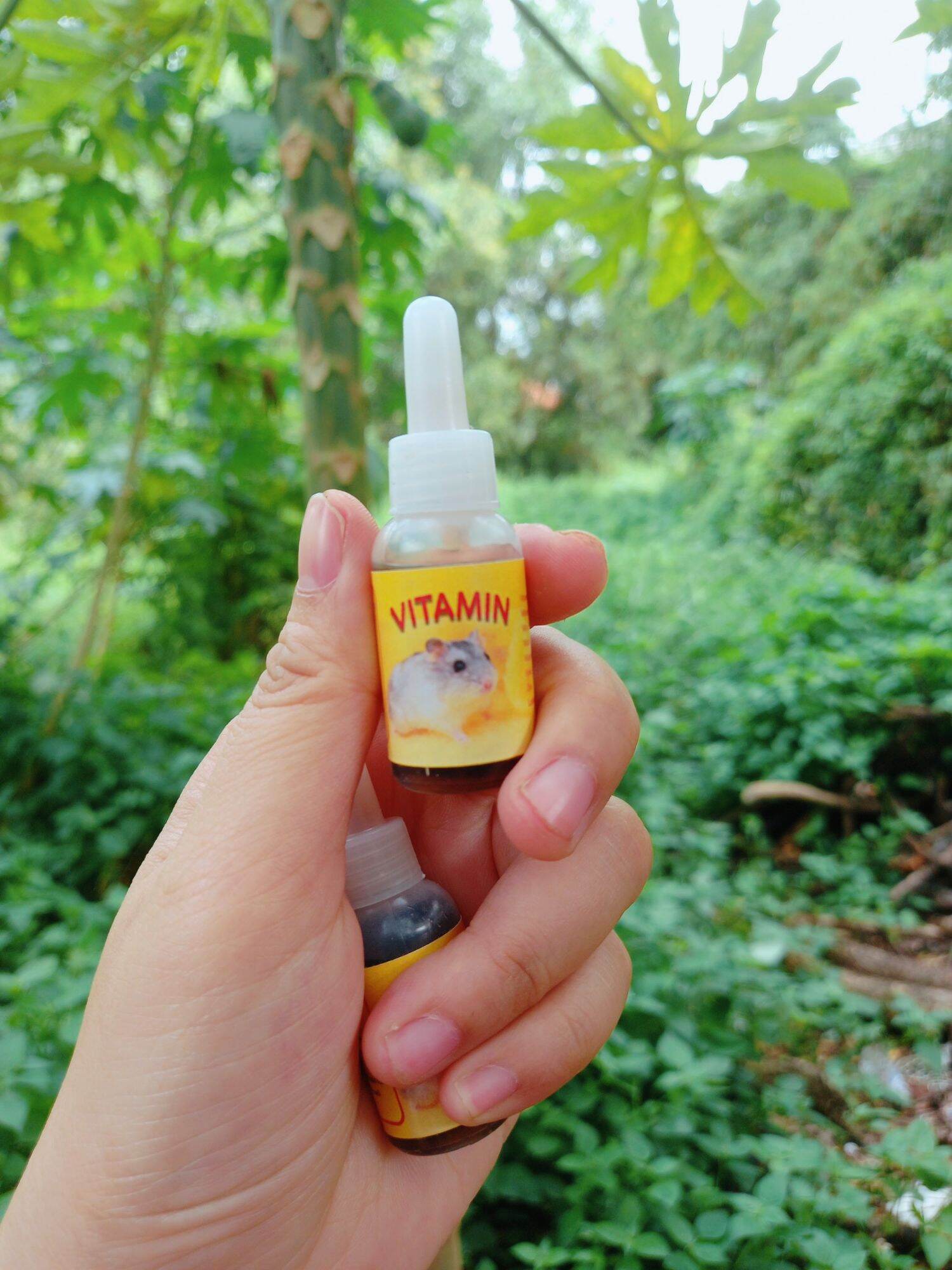 Vitamin cho hamster