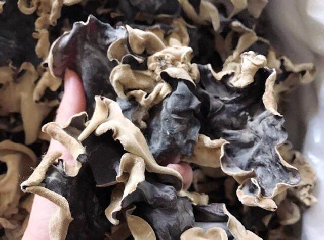 NẤM MỘC NHỈ 100gr