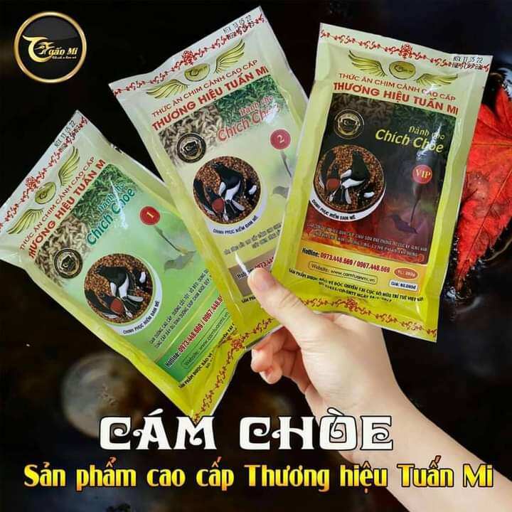 Cám Choè Than & Lửa VIP ( Tuấn Mi )