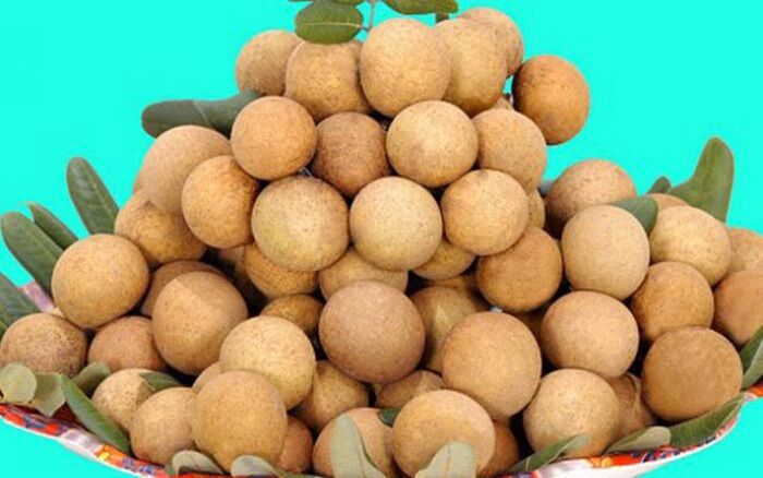 Nhãn xuồng cơm vàng hạt lép Cái Mơn Bến Tre