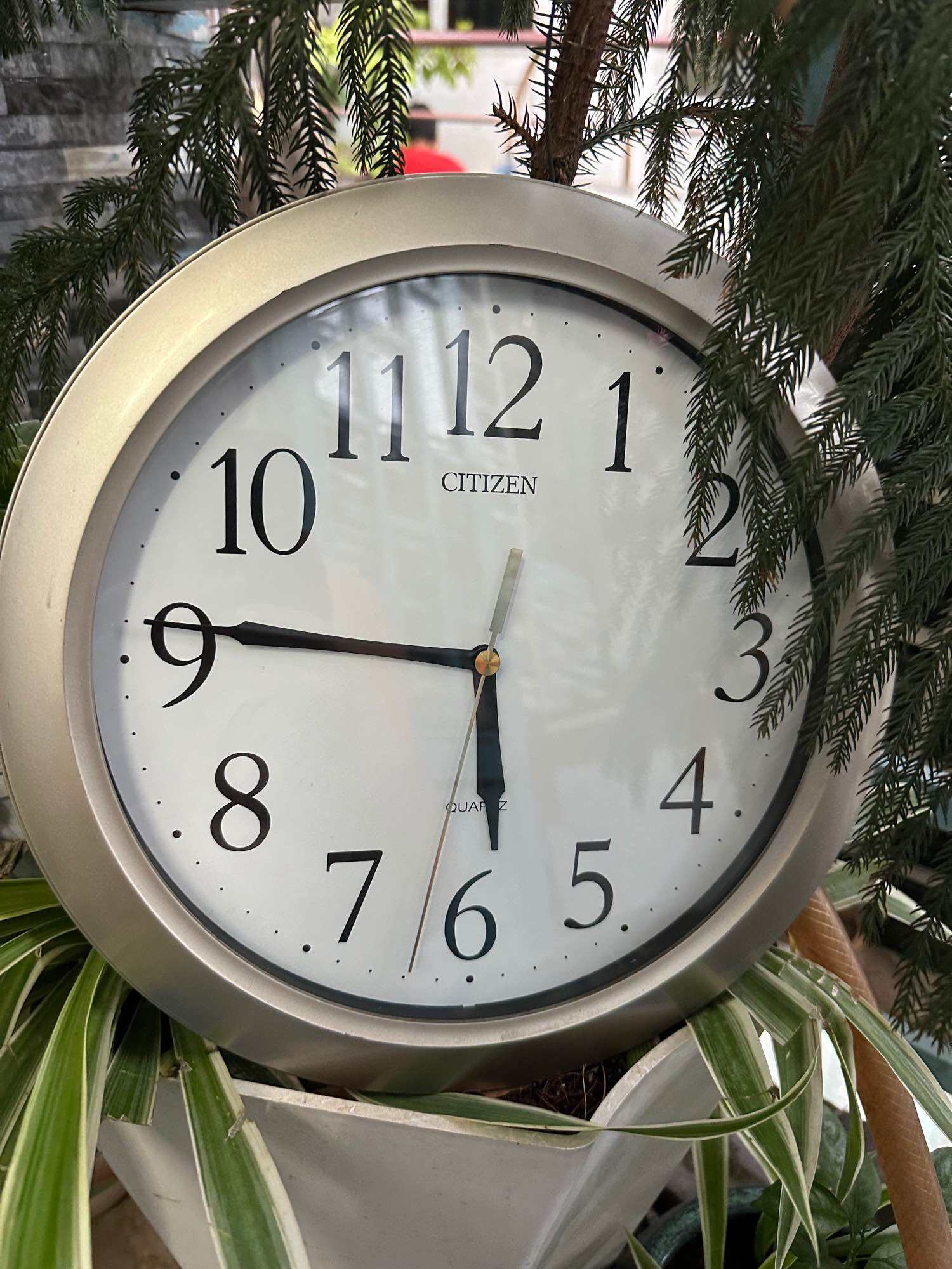Đồng hồ treo citizen hàng si nhật kim trôi