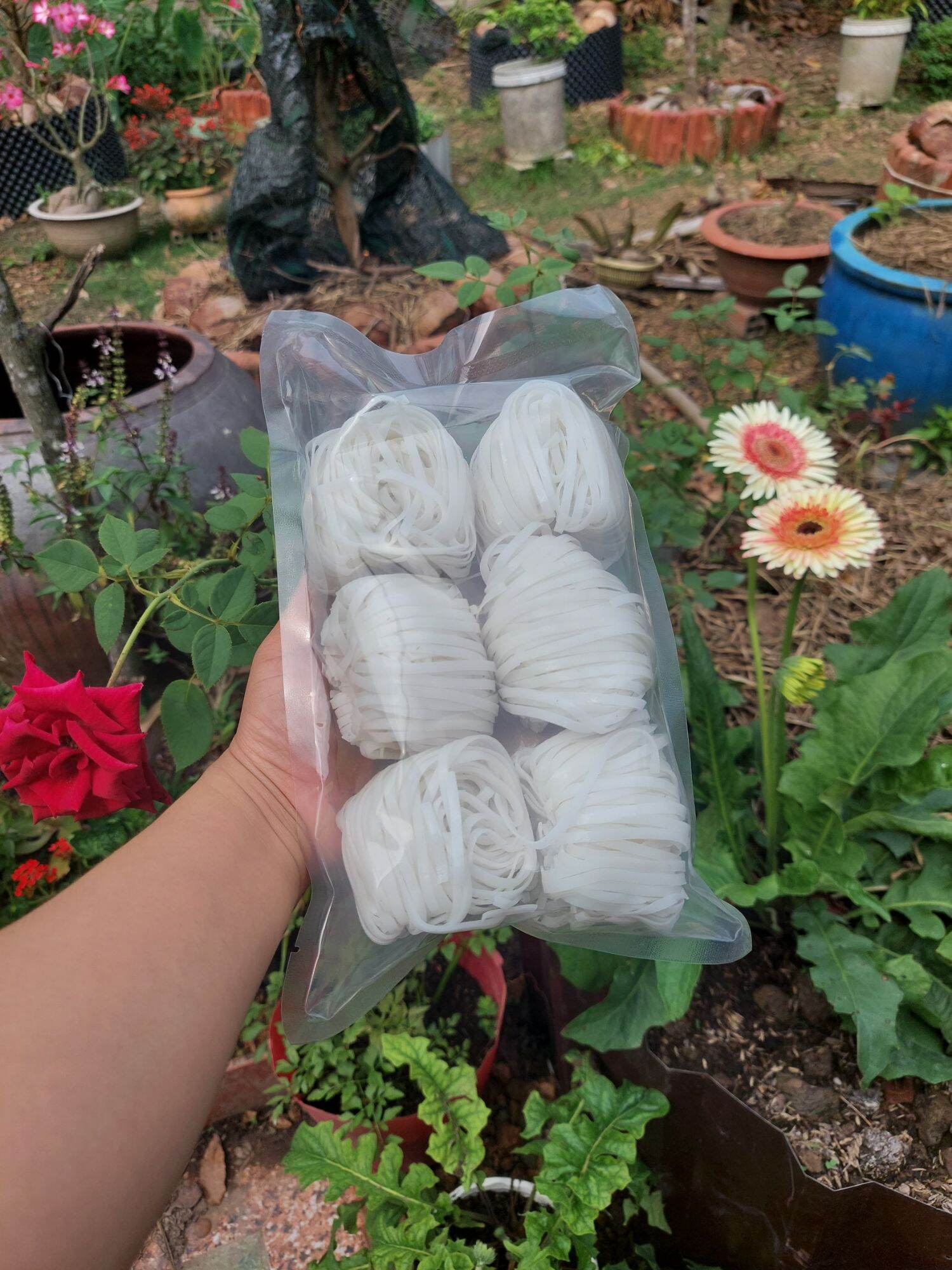 6 vắt Phở Sa Đéc / Khô/ 480gram/ Đặc Sản