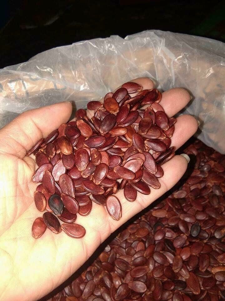 Hạt dưa sạch ngon Tứ Hưng hũ 500G