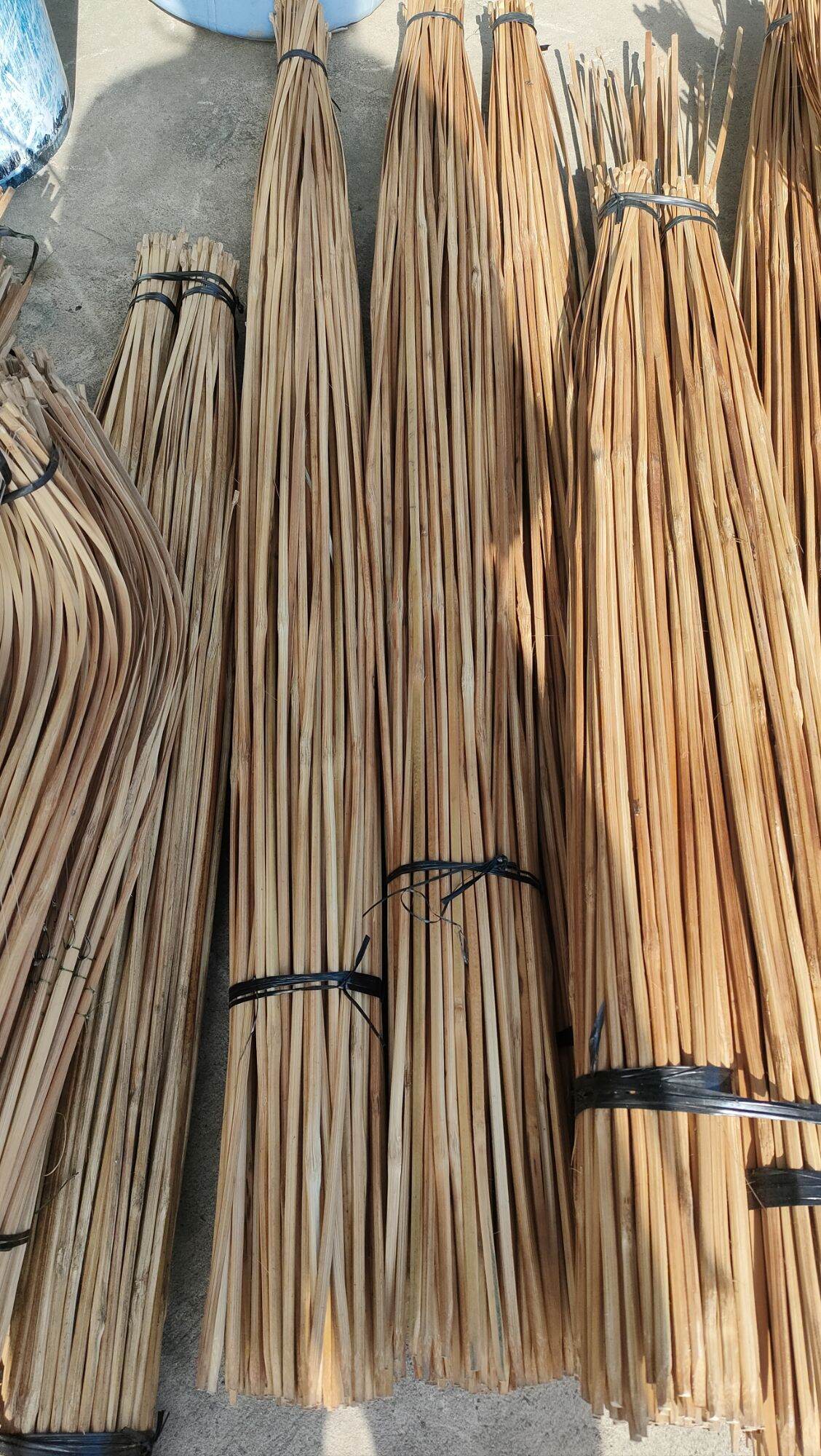 20 cây cần câu cắm cá chưa tóm lưỡi cao 1 mét