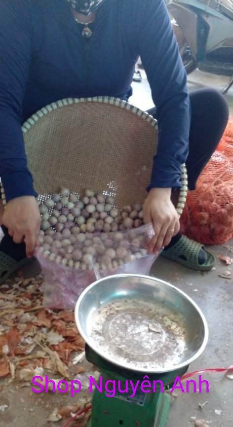 1KG TỎI CÔ ĐƠN