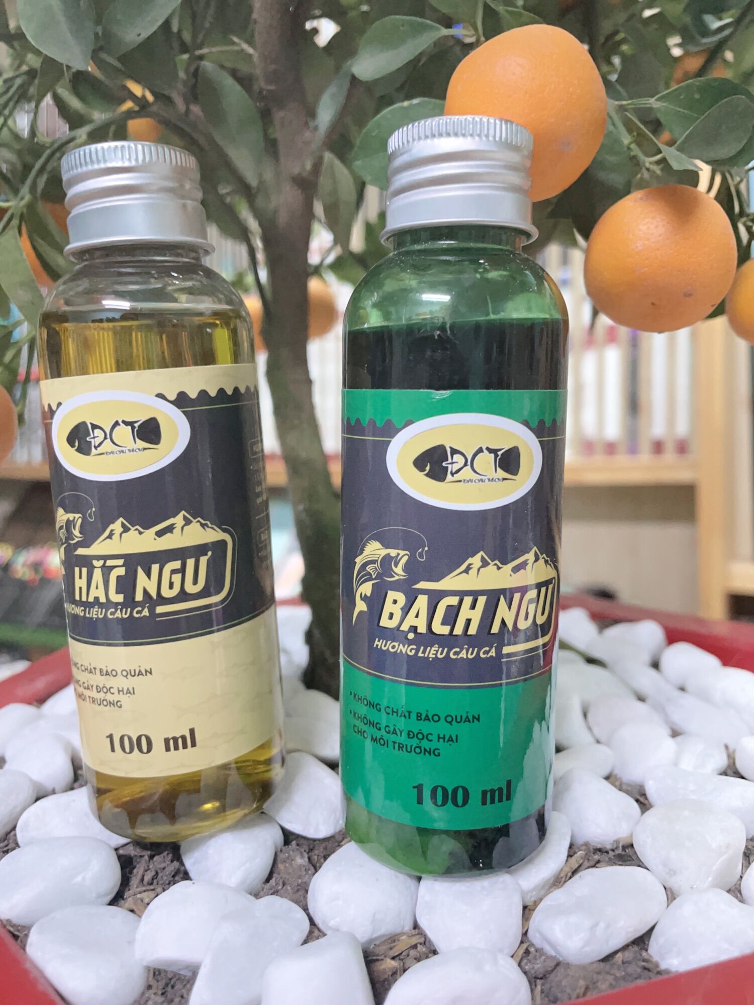 Tinh mùi câu trắm đen hắc ngư-bạch ngư