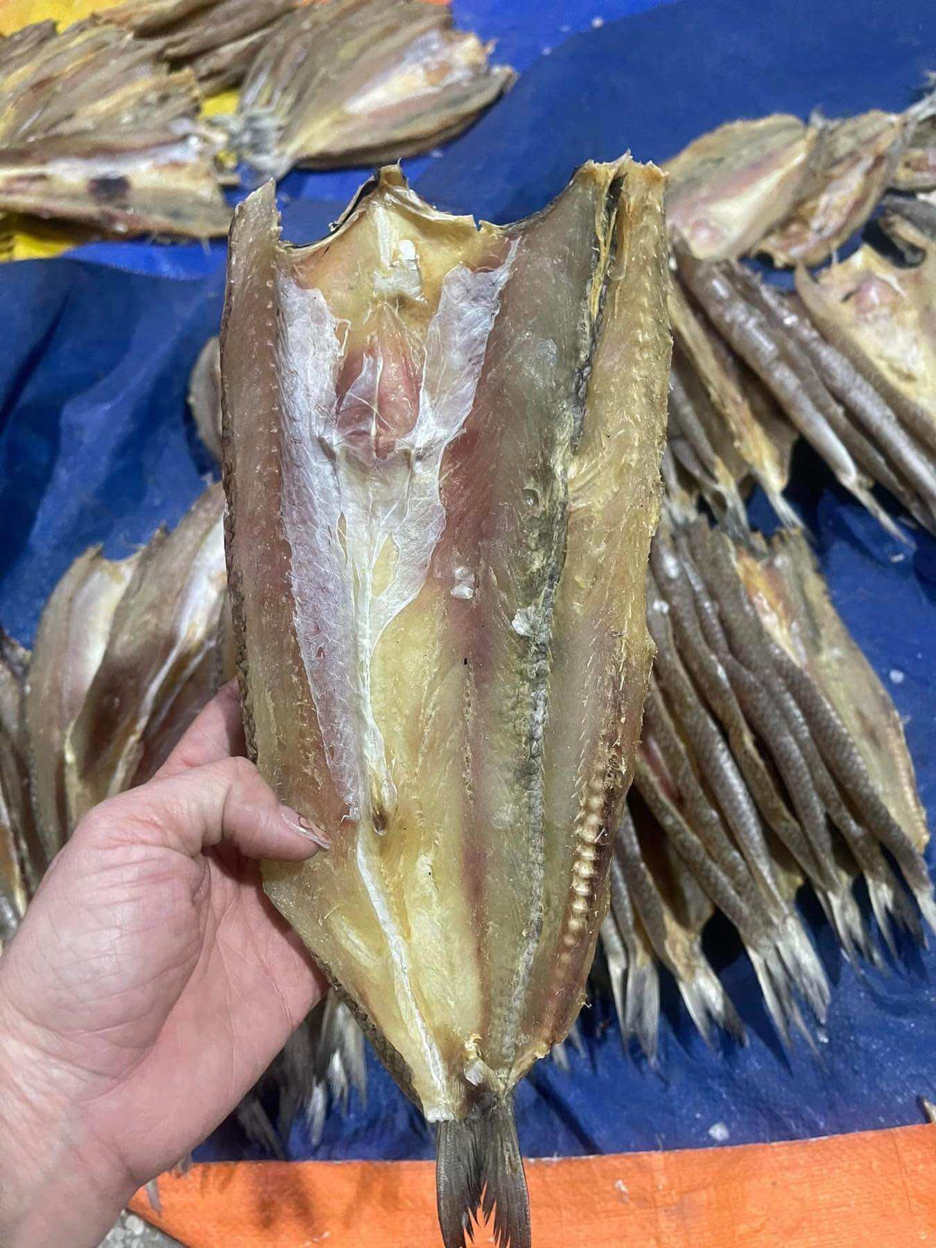 Khô cá mối mặn,mối ướp