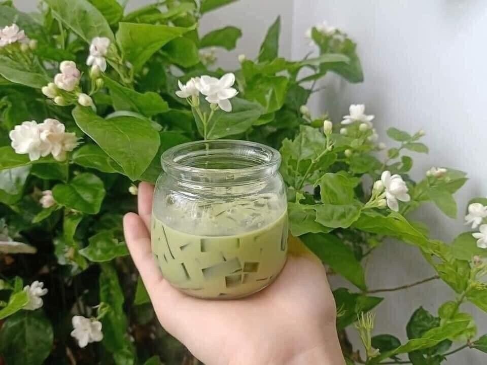 Combo 12 hũ sữa chua béo dung tích 200ml