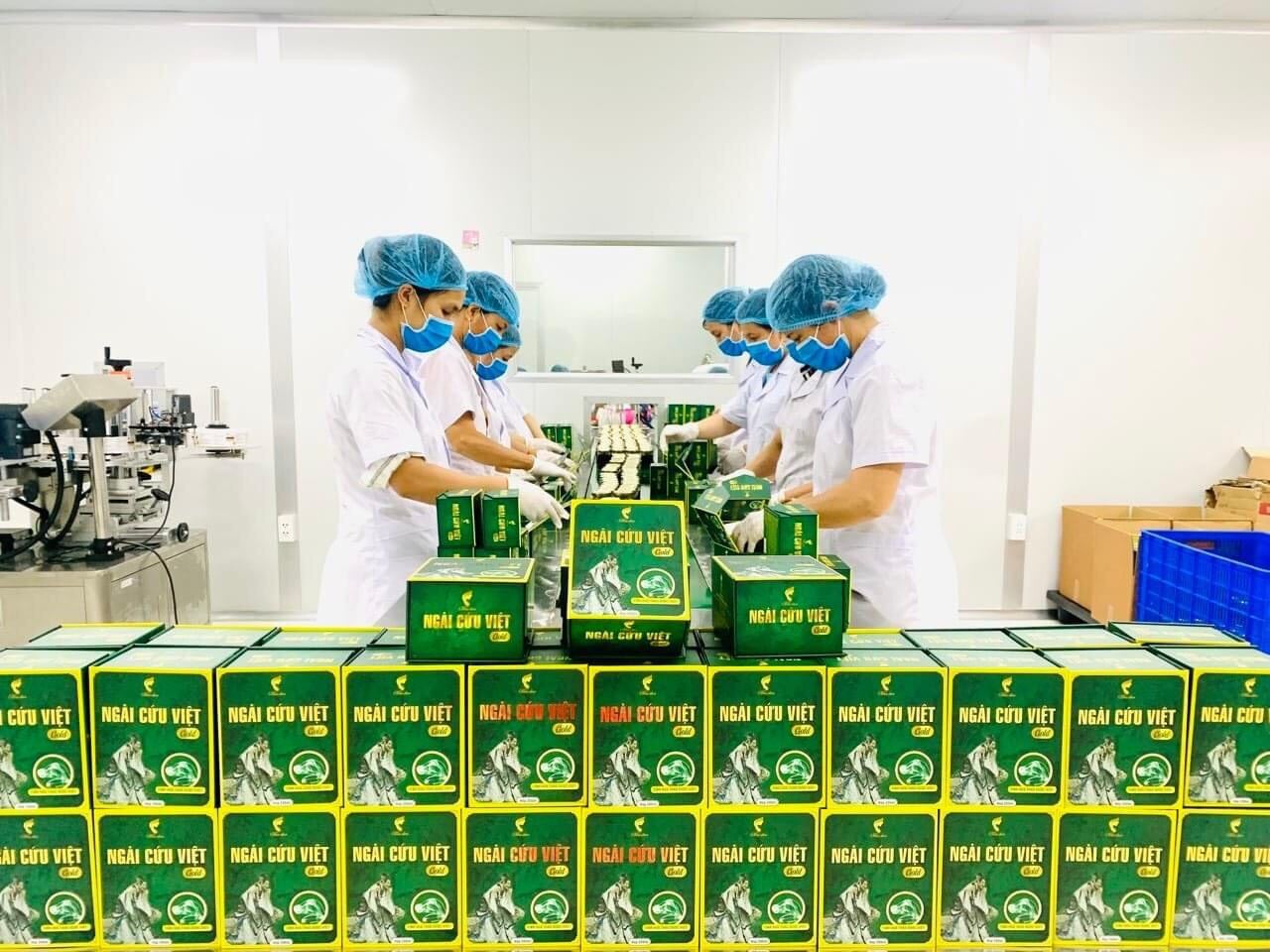 [HCM]Tinh dầu ngải cứu việt lọ 50ml/200ml