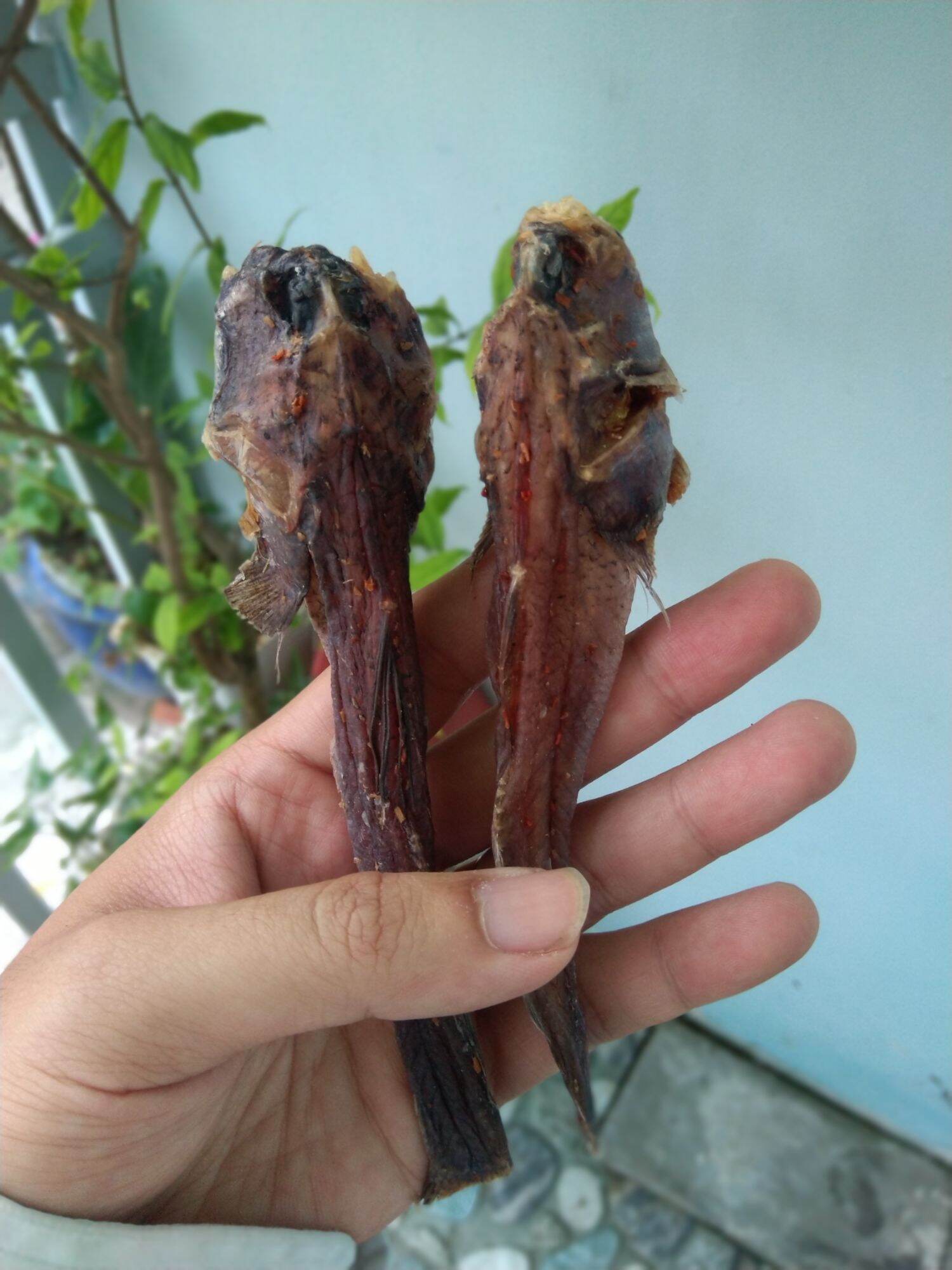Khô cá thòi lòi-đặc sản cà mau.kl: 500 gr