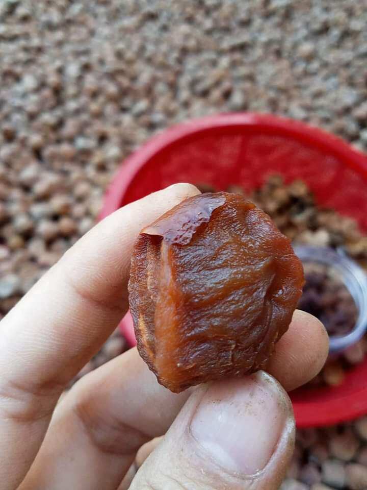 Vải sấy Bắc Giang siêu ngon 1kg