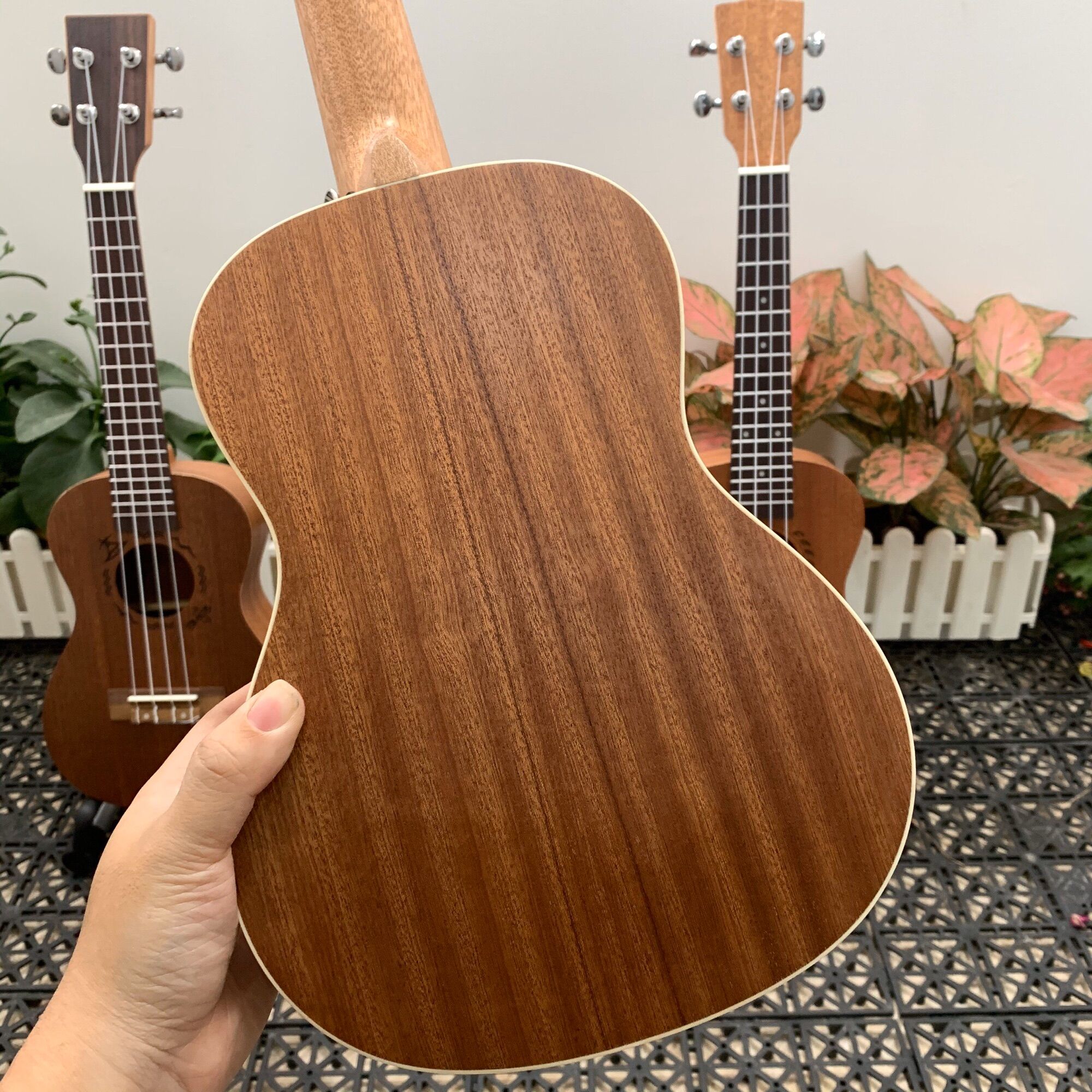 (RẺ VÔ ĐỊCH) ĐÀN UKULELE CONCERT BWS KẺ VIỀN