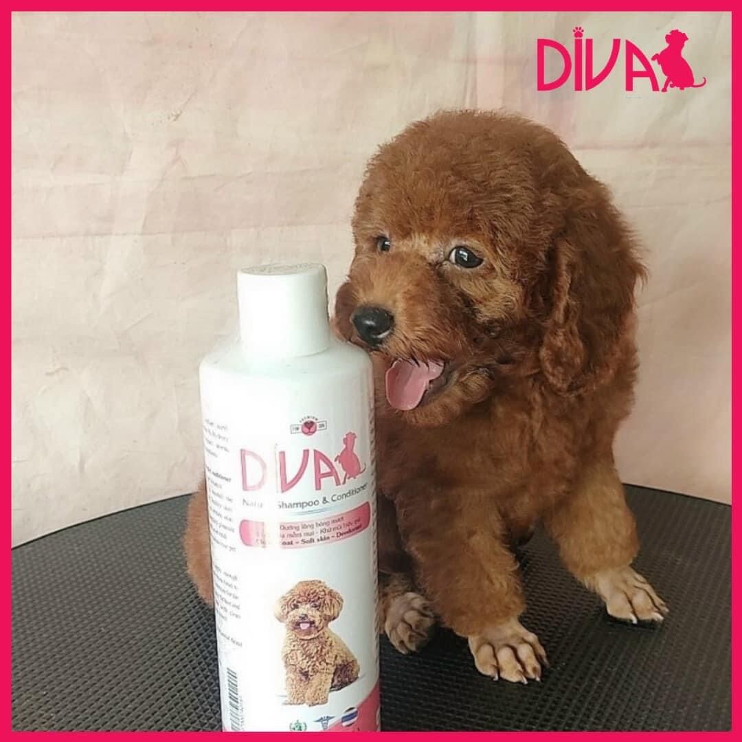 Sữa tắm thơm mượt chống rụng Diva cho chó