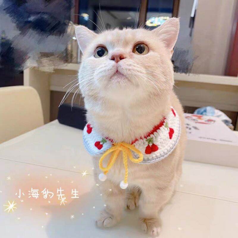 VÒNG CỔ CHO MÈO