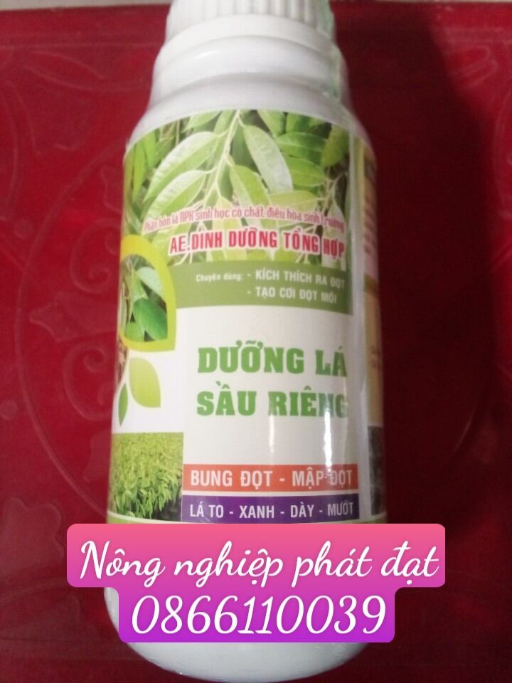 Phân bón lá dưỡng lá sầu riêng