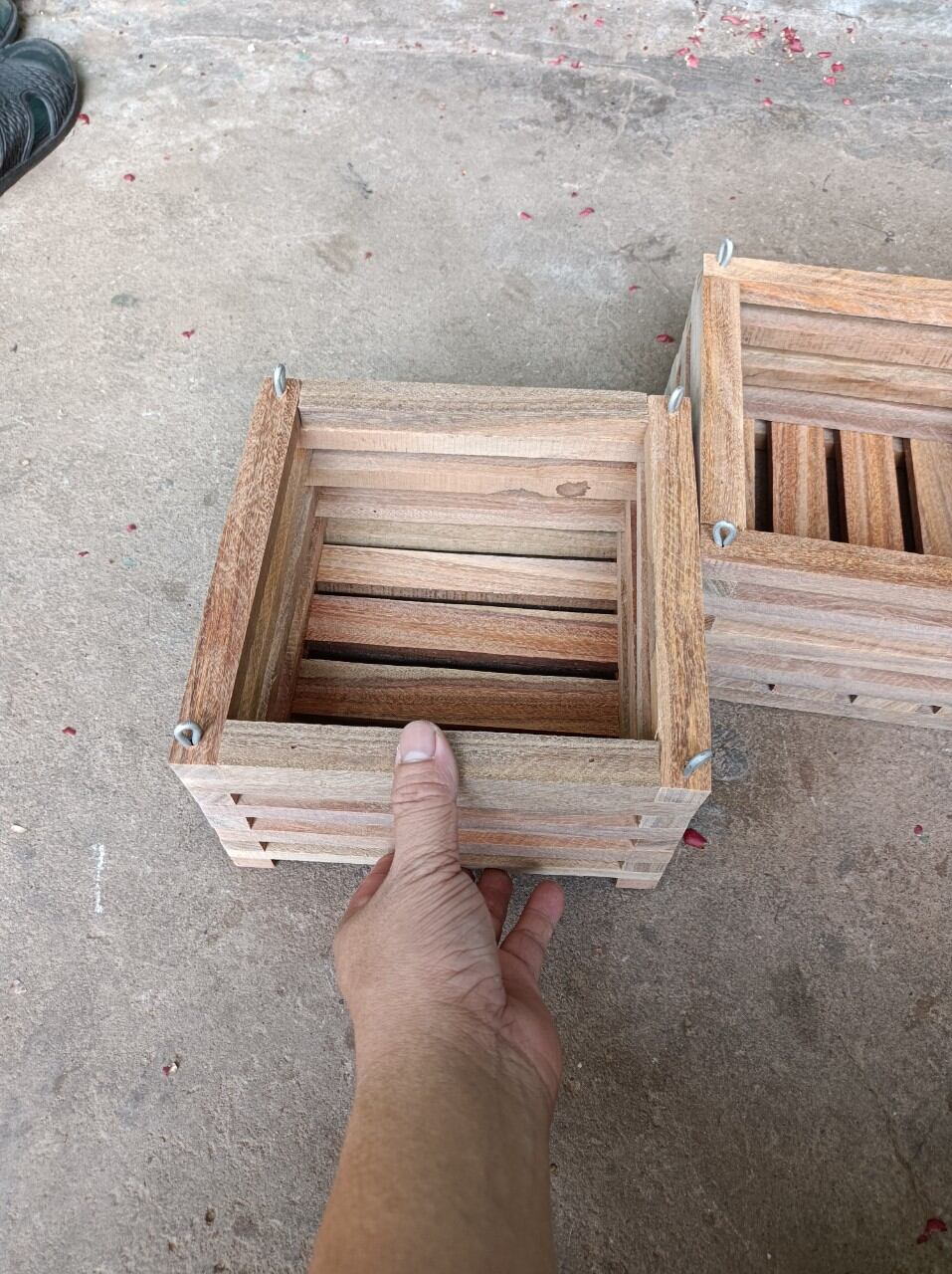 combo 5 chậu gỗ trồng lan hình vuông 20x20cm