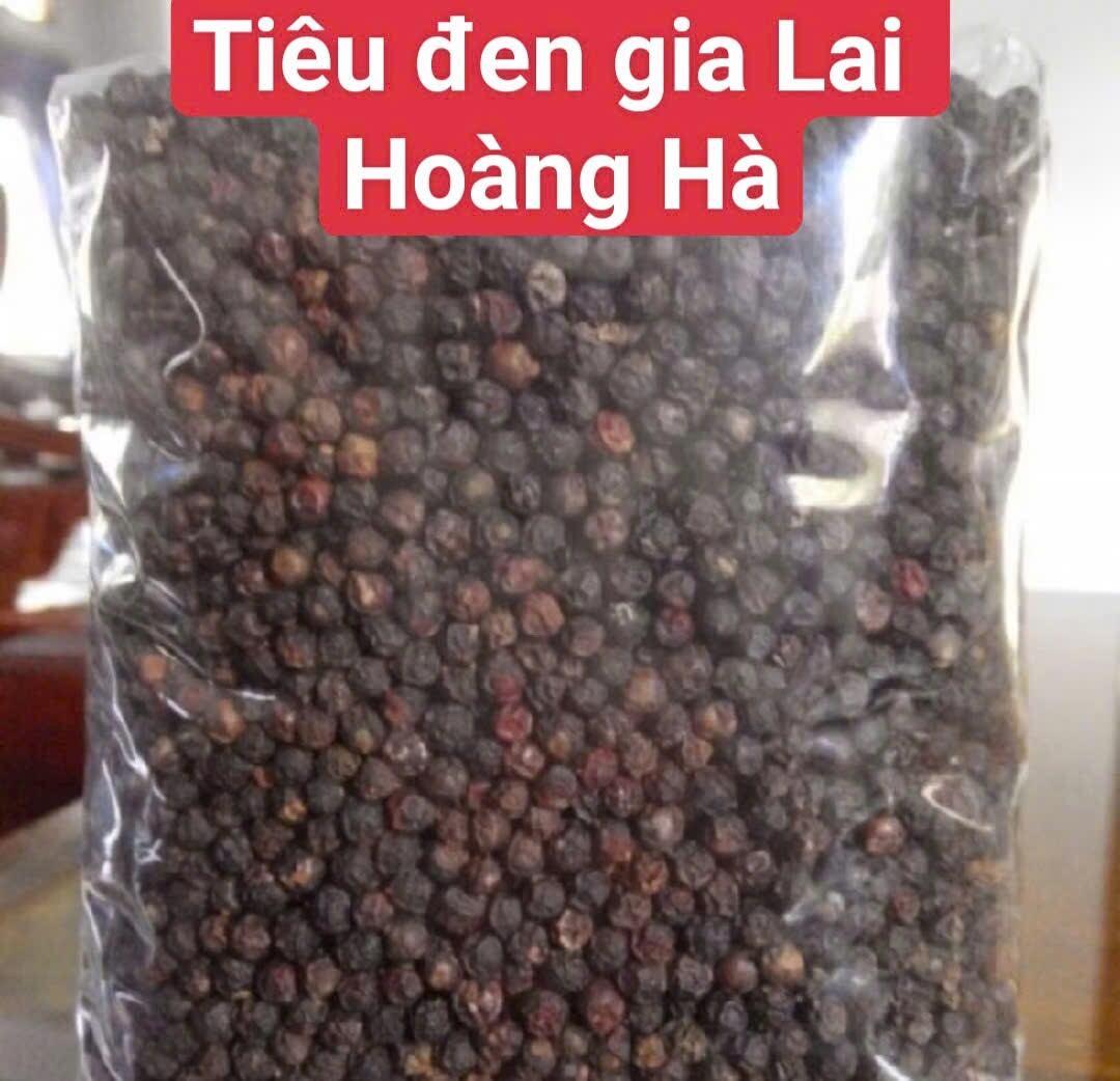 Tiêu đen Gia Lai Hoàng Hà 500g Sản phẩm nhà trồng không chất bảo quản thuốc trừ sâu(Gia Lai Hoang Ha Black Pepper 500g. Homegrown product, no preservatives or pesticides.)