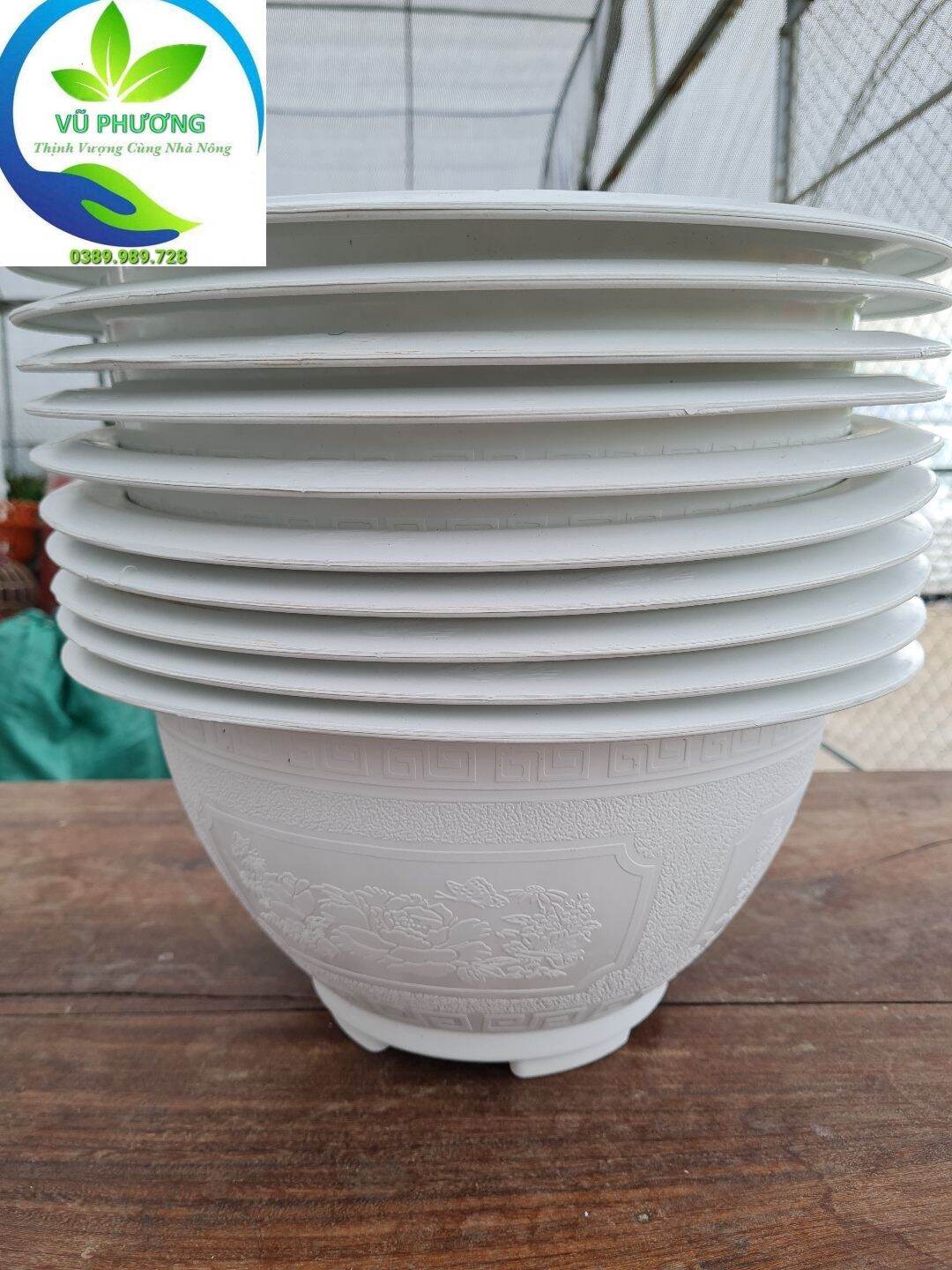 Combo 5 Chậu T38 màu trắng kích thước miệng 37x cao 20cm