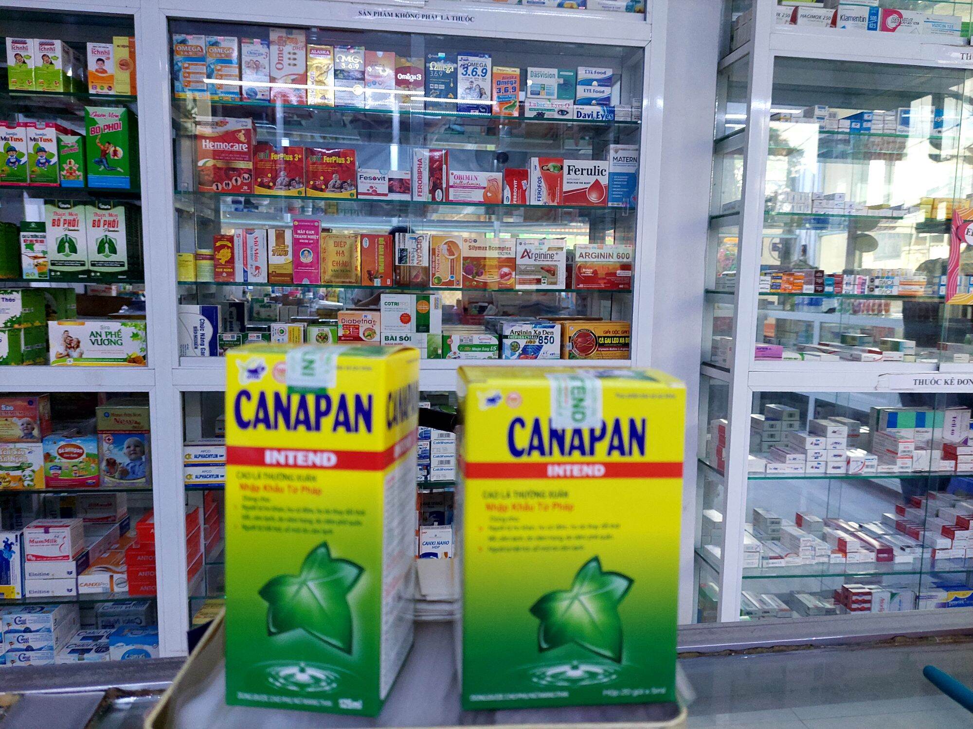 Siro ho Canapan cao lá thường xuân