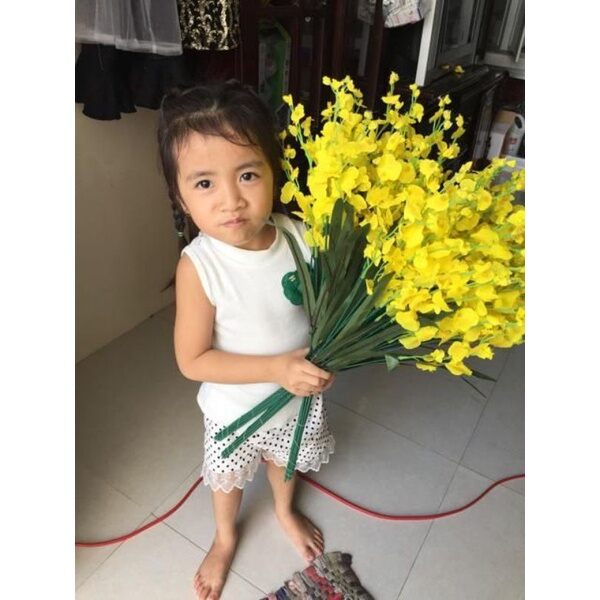Hoa lan vũ nữ giả hoa lụa