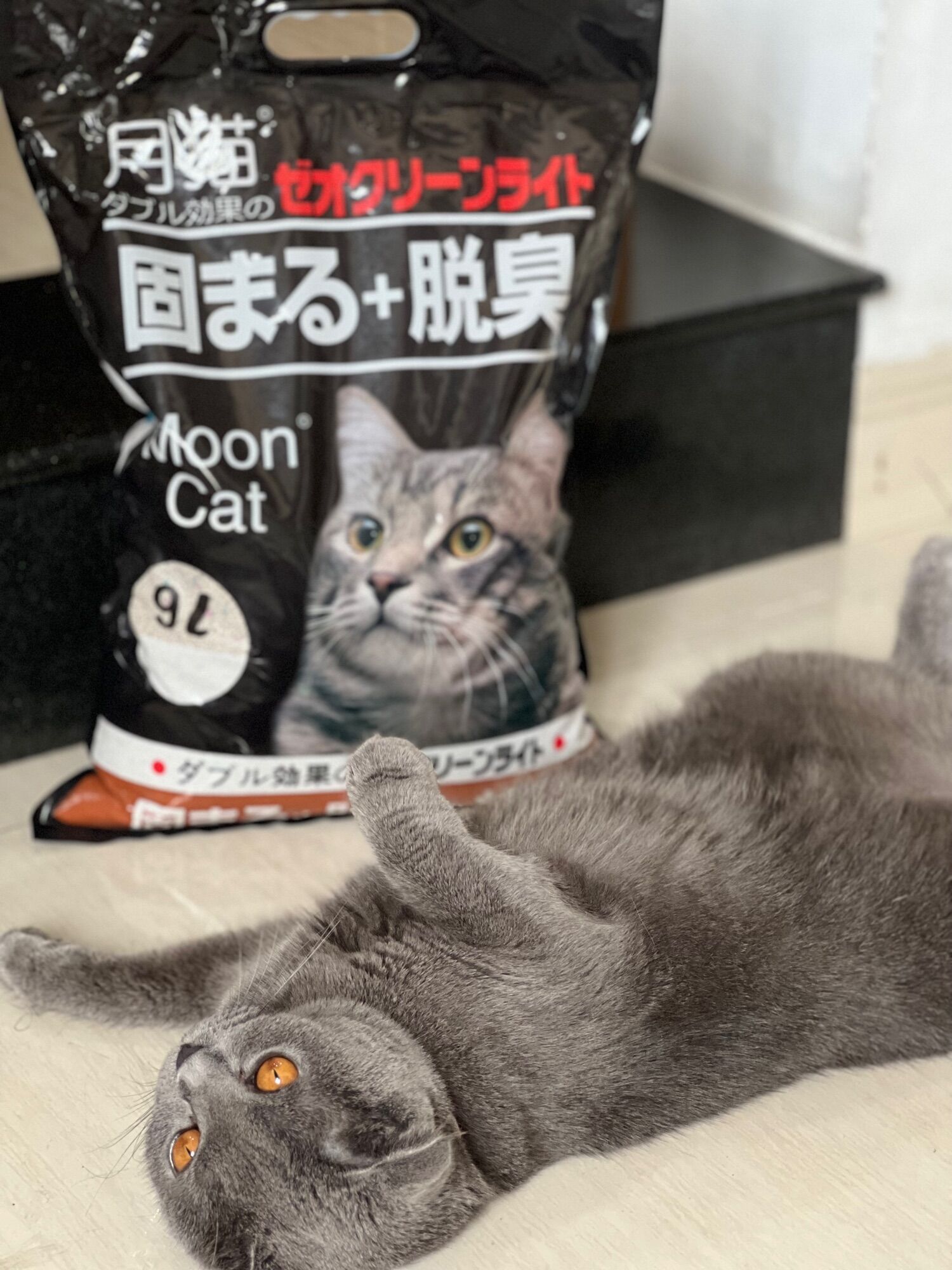 Cát vệ sinh cho mèo nhật bản 9l chính hãng mooncat - mùi cà phê