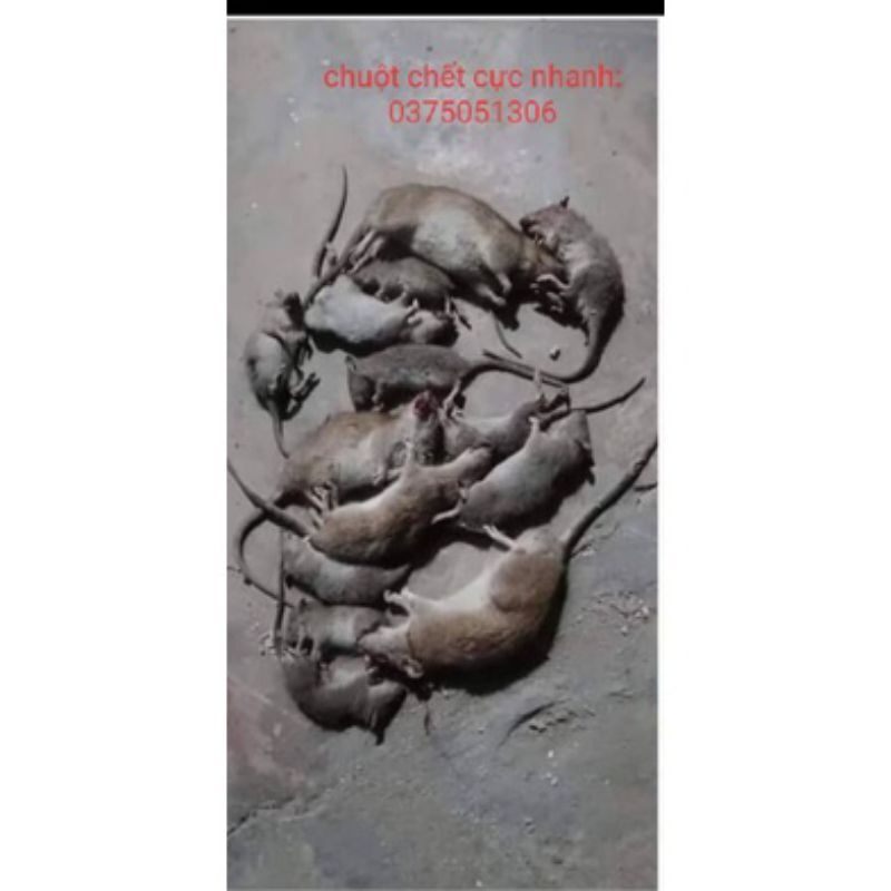 Rat Poison 🐁 🐁   Pre-Mixed Spirit of the Divine