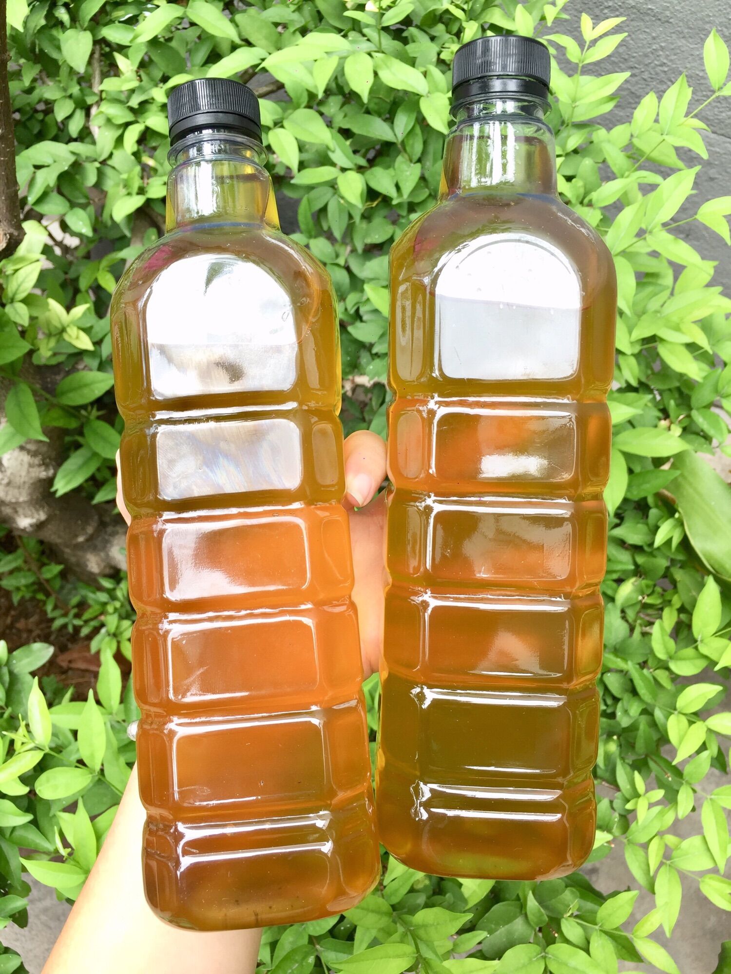 Dầu mè đen ép nguyên chất