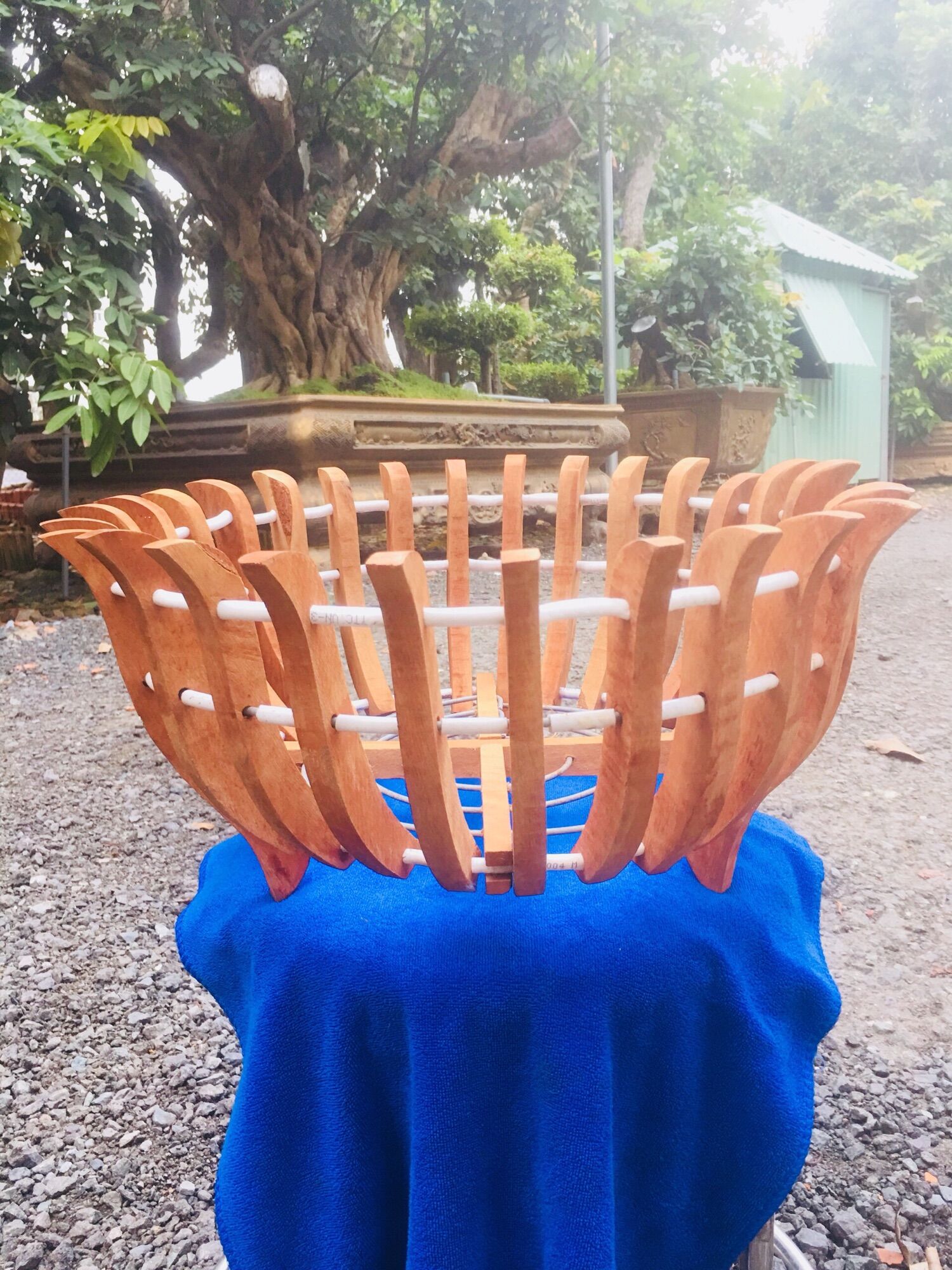 Chậu gỗ căm xe trồng lan phi 30cm
