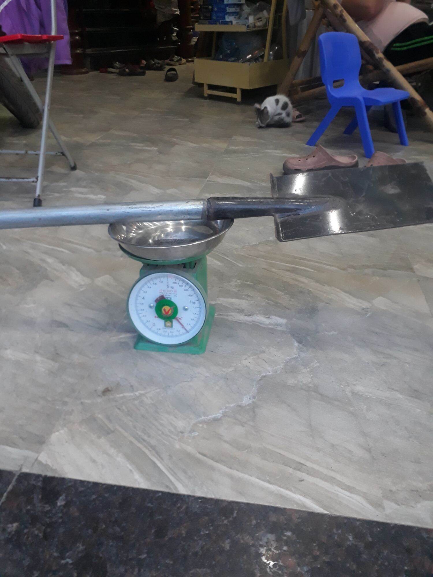 Mai Đánh Cây- Mai Đào Đất , đánh bầu cây , xẻ bờ