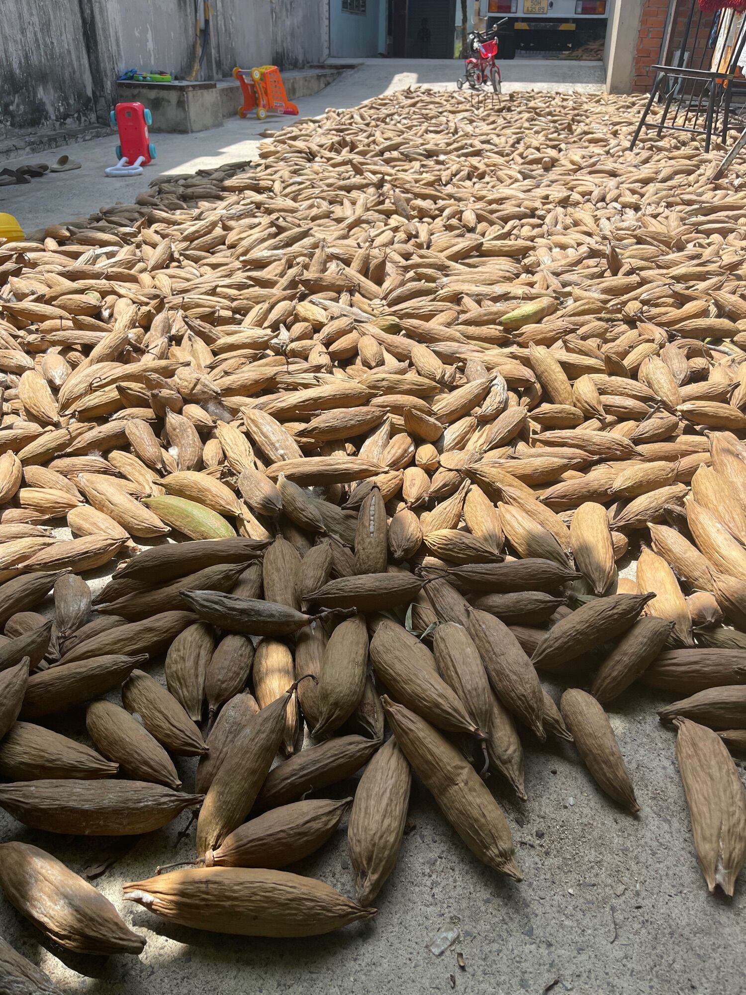 Bông gòn tự nhiên 100% từ trái gòn(1kg)