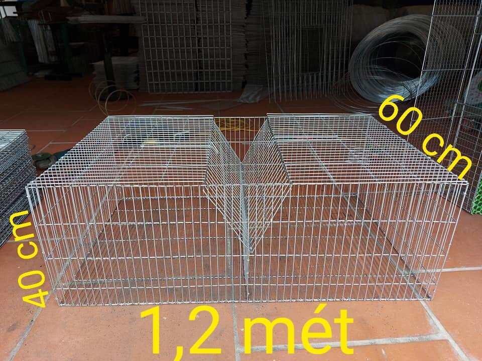 CHUỒNG THỎ