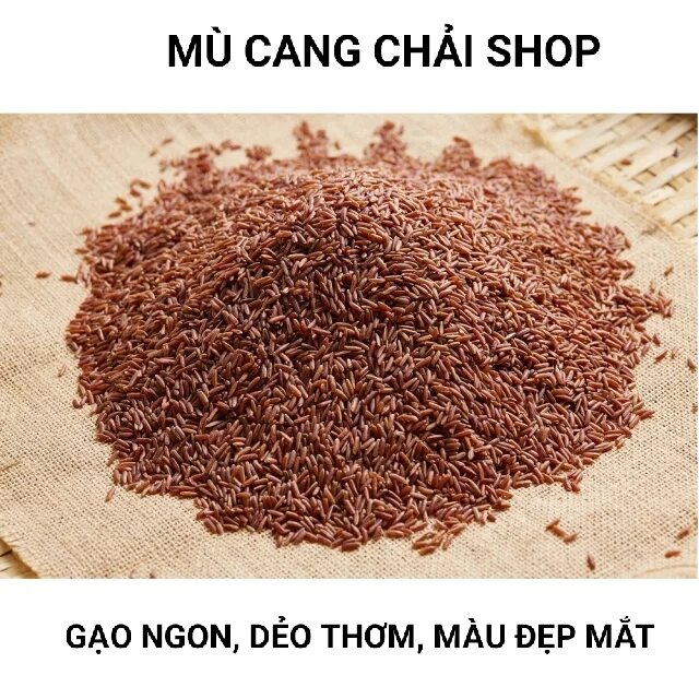 Hạt giống lúa nếp cẩm, nếp tím đen túi 1kg