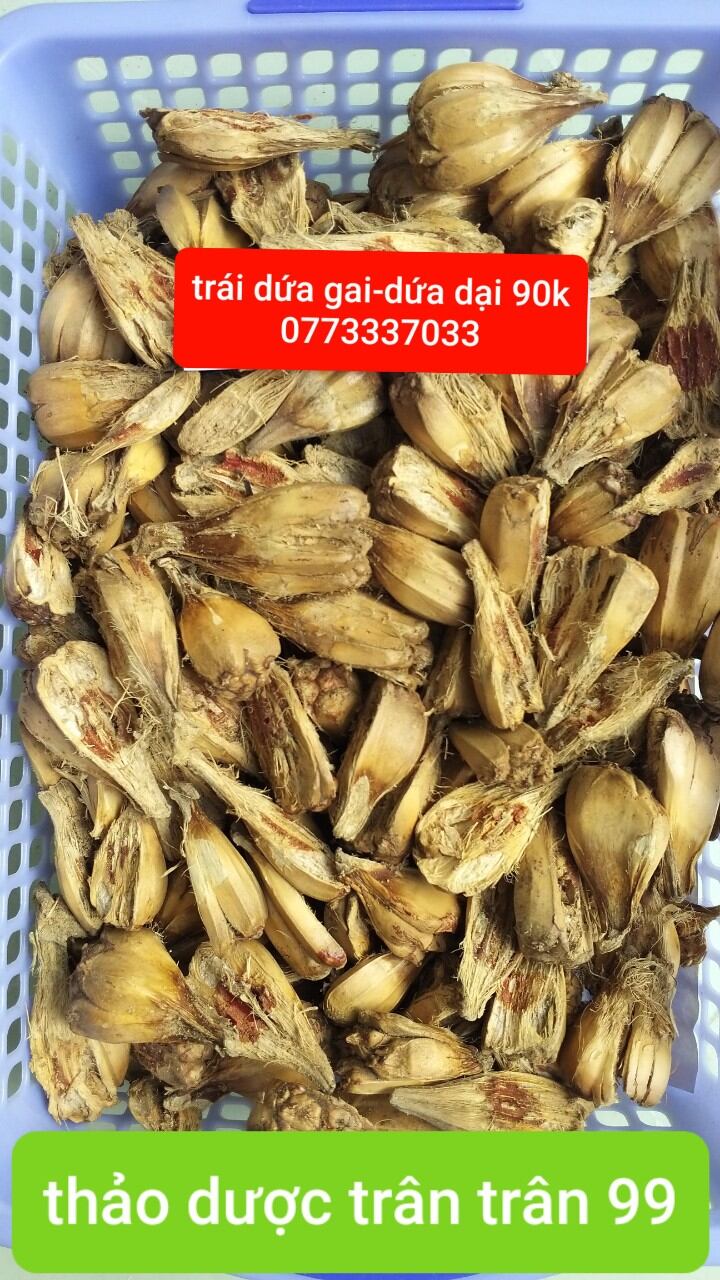 trái dứa gai phơi khô 1kg