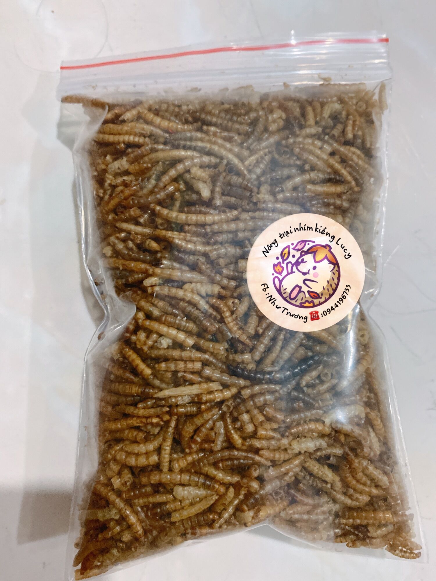 Sâu rang superworm 100gram dành cho nhím kiểng ,hamster,sóc….