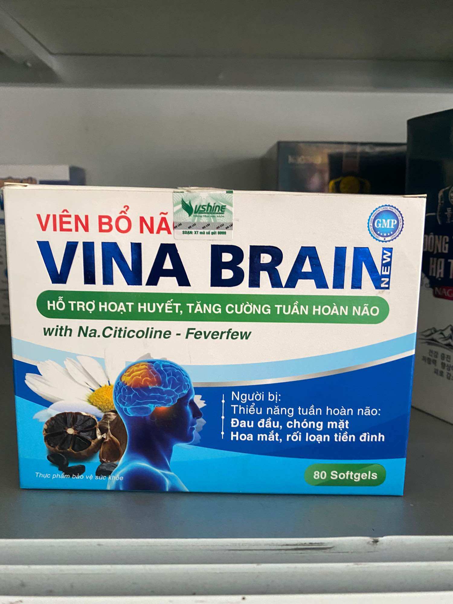 VINA BRAIN viên bổ não