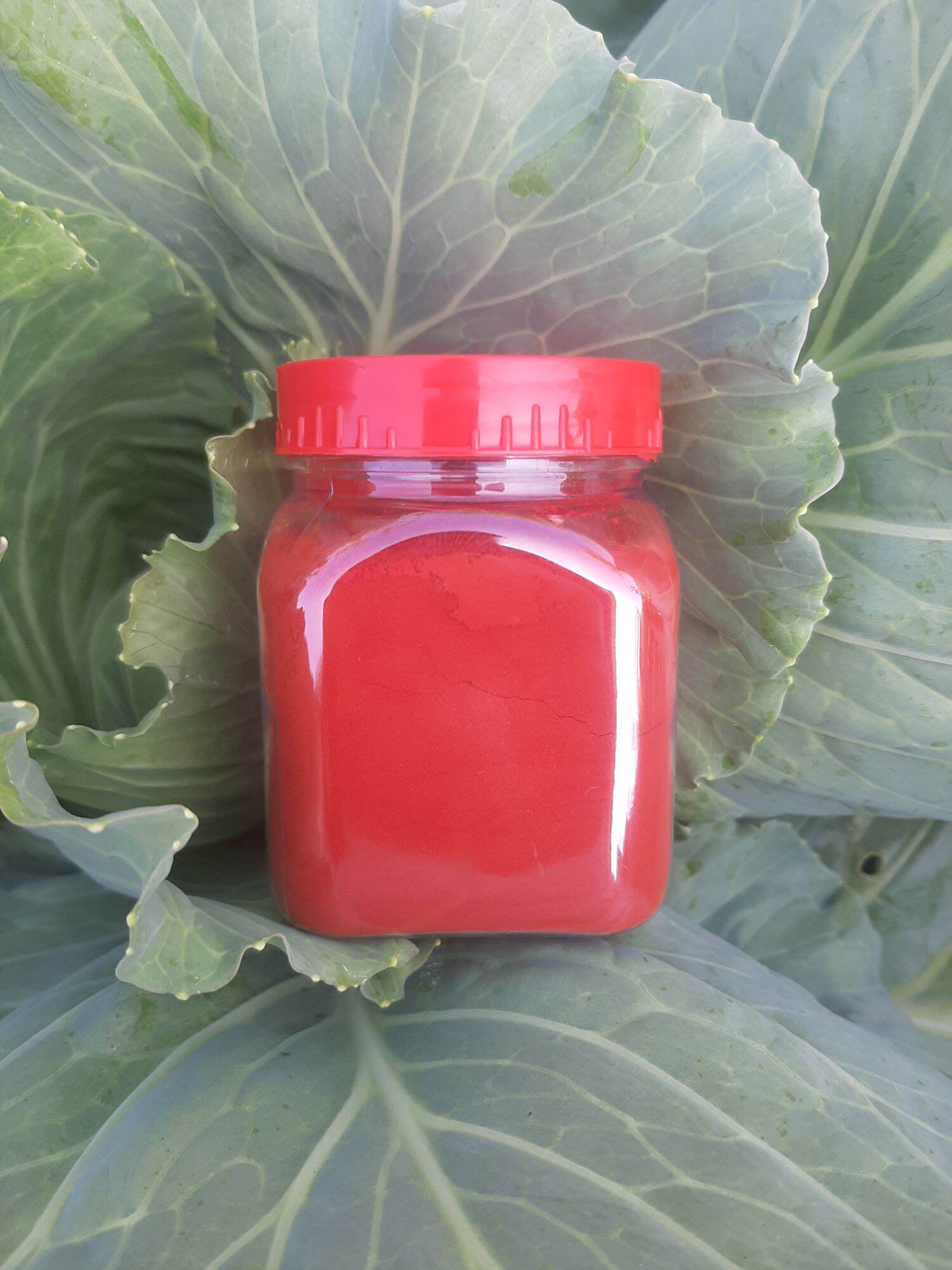 BỘT NGHỆ ĐỎ NGUYÊN CHẤT HỦ 100G DÙNG CHO GÀ ĐÁ